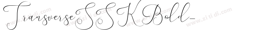 TransverseSSK Bold字体转换